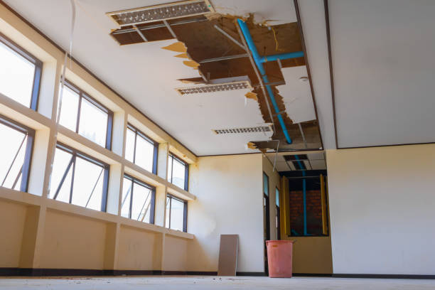 Best Water damage contractors near me  in Tyler, MN