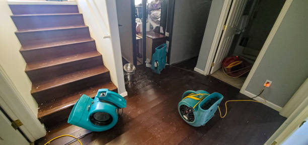 Best Water damage restoration company  in Tyler, MN