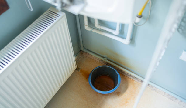 Best Fire Damage Restoration  in Tyler, MN